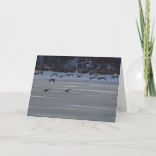 Tarjeta Geese volador bajo