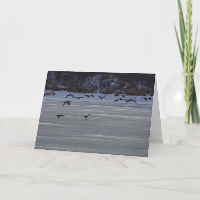 Tarjeta Geese volador bajo (Anverso)