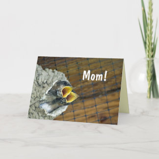 Tarjeta gemela del día de madre de los pájaros de