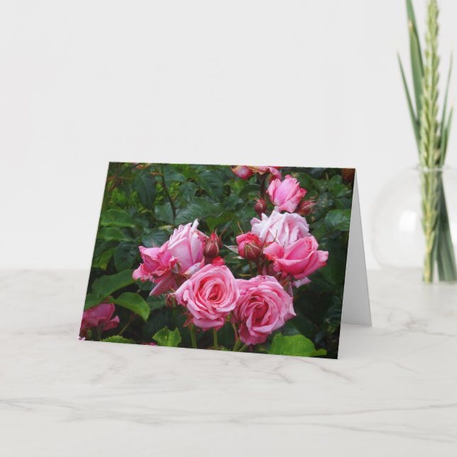 Tarjeta Gene Boerner Rosa #1 (Anverso)