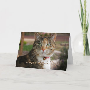 Tarjeta General del Día de la Madre