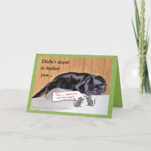 Tarjeta George el Cat-Get Well-personalizar en cualquier o