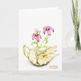 Tarjeta Geranio acuarela de flor silvestre en blanco por d