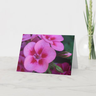 Tarjeta Géranio rosa de menta