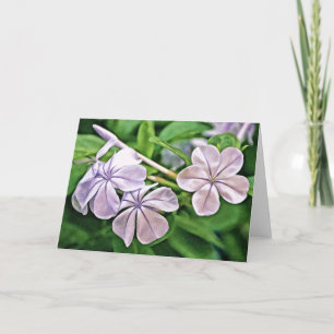 Tarjeta Geranium Blooms Scripture Card Ecclesiastos 3:1