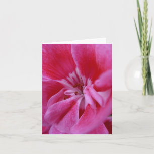 Tarjeta Geranium notecard rosa