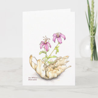 Tarjeta Geranium wildflower watercolor, blank inside