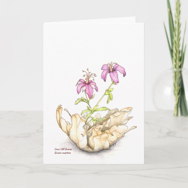 Tarjeta Geranium wildflower watercolor, blank inside (Anverso)