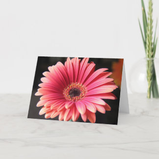 Tarjeta Gerber rosado