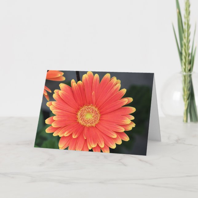 Tarjeta Gerbera (Anverso)