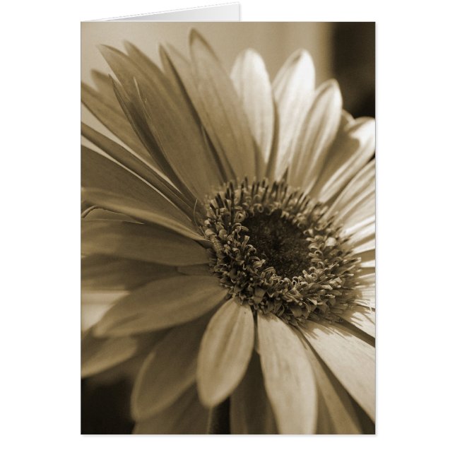 Tarjeta Gerbera (Frente)
