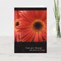 Gerbera coralino con cita, por el Wight de Ana