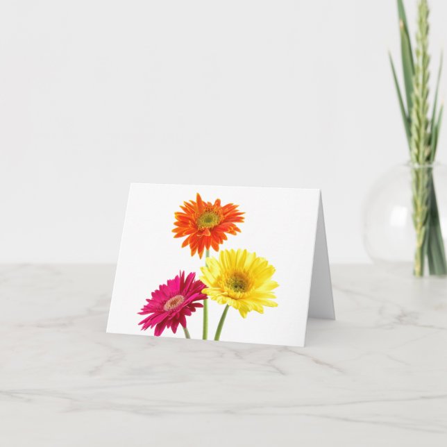 Tarjeta Gerbera Daisies (Anverso)