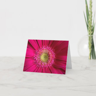Tarjeta Gerbera Daisy