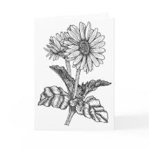 Gerbera Daisy Color It Yourself Blank Saludo