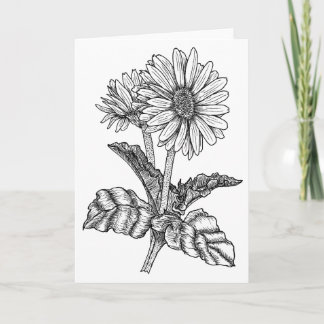 Tarjeta Gerbera Daisy Color It Yourself Blank Saludo