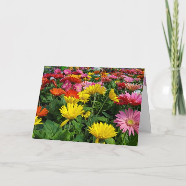Tarjeta Gerbera Daisy Garden Birthday (Anverso)