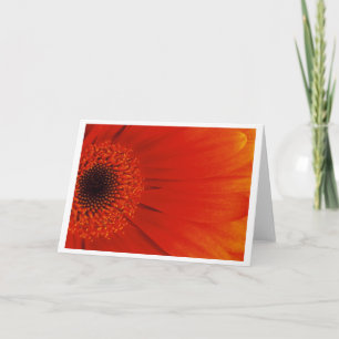 Tarjeta Gerbera - naranja