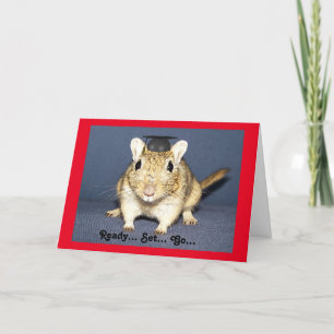Tarjeta Gerbil de la graduación