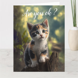 Tarjeta Get Well Adorable Calico Kitten