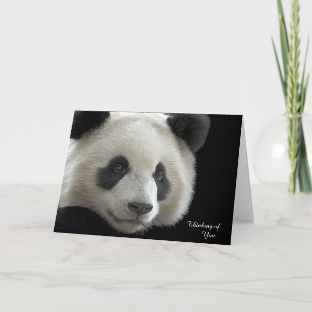 Tarjeta Get Well Card Panda (Anverso)