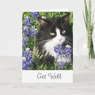 Tarjeta Get Well Card Tuxedo Cat in Texas Bluebonnet