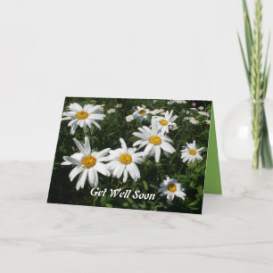 Tarjeta Get Well Daisies