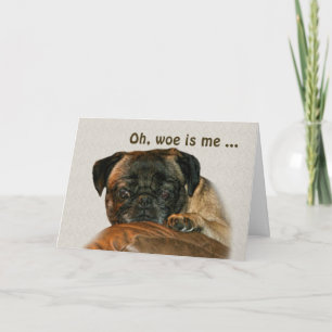 Tarjeta Get Well, Sad Pug Dog