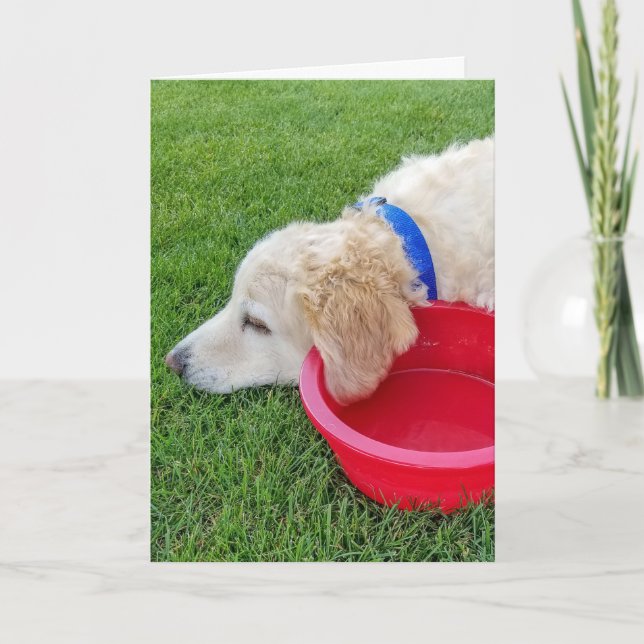 Tarjeta get well soon dog with red water bowl (Anverso)