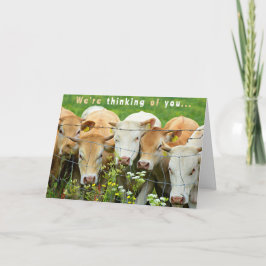 Tarjeta Get Well Soon  Ranch Farm Cattle Country Flowers