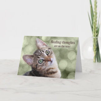 Tarjeta Get Well Tabby Kitten with Green Bokeh