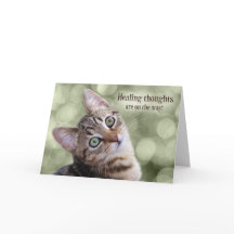 Get Well Tabby Kitten with Green Bokeh