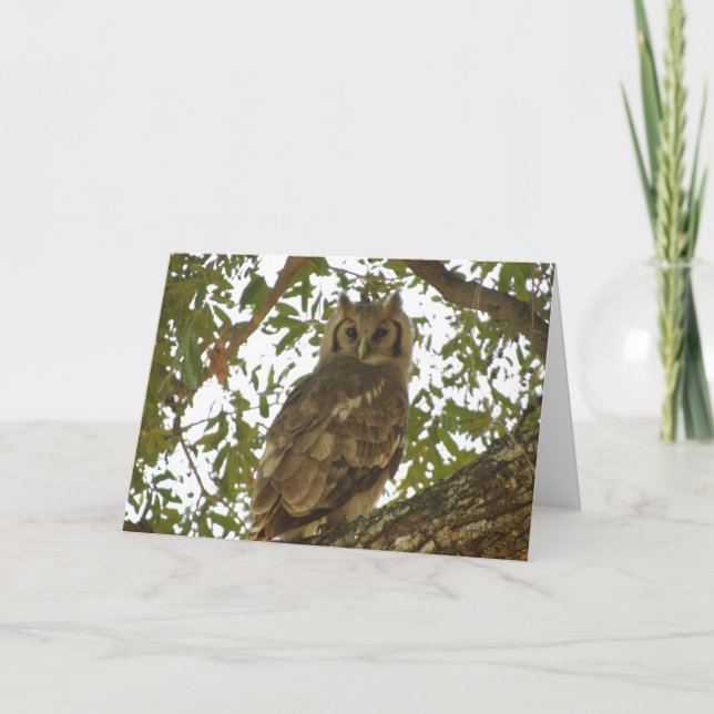 TARJETA GIANT EAGLE OWL GREETING (Anverso)