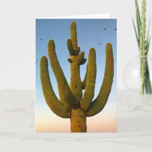 Tarjeta giant saguaro greeting card (blank inside)