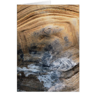 TARJETA GIANT TORTOISE SHELL