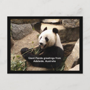 Tarjeta gigante de saludos panda