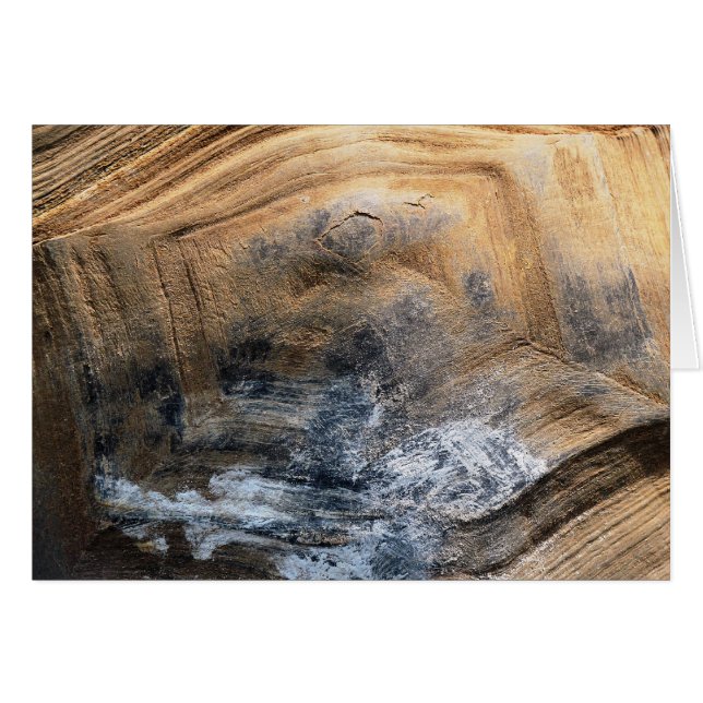 TARJETA GIGANTE TORTOISE SHELL GREETINGS (Anverso (Horizontal))