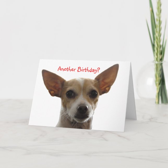 Tarjeta ¿GiGi, otro cumpleaños? (Anverso)