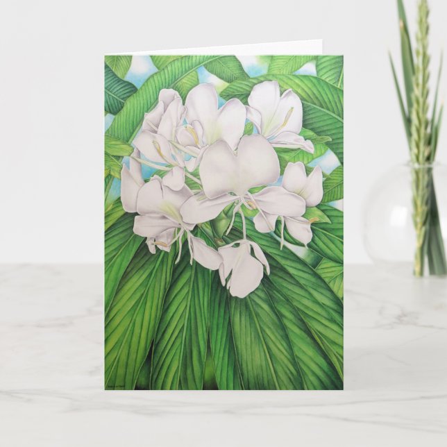 Tarjeta Ginger blanco hawaiano (Anverso)