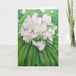 Tarjeta Ginger blanco hawaiano