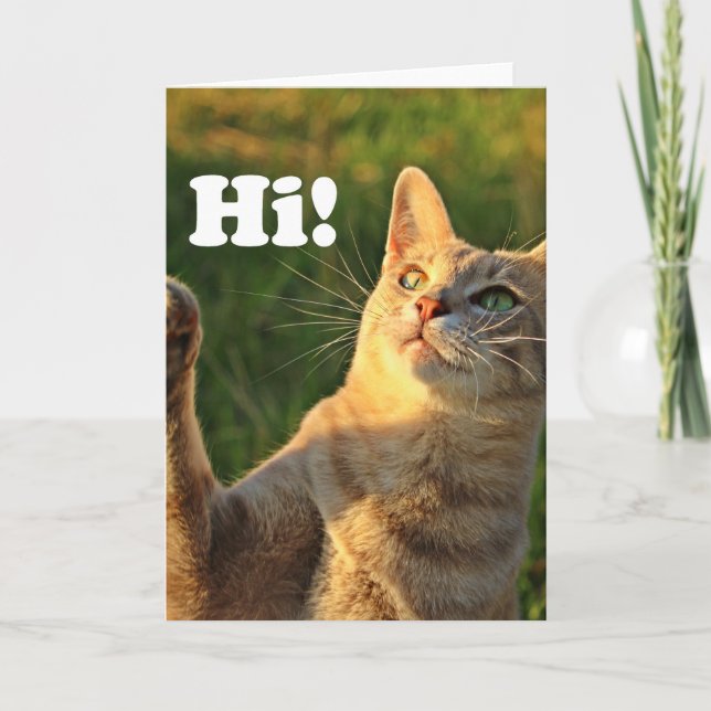 Tarjeta Ginger Cat diciendo ¡Hola! (Anverso)