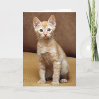 Tarjeta Ginger Couch