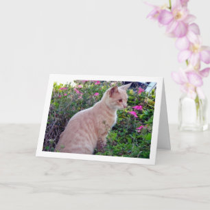 Tarjeta Ginger Kitten en floral