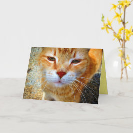 Tarjeta Ginger Kitty Friendty Little Cat
