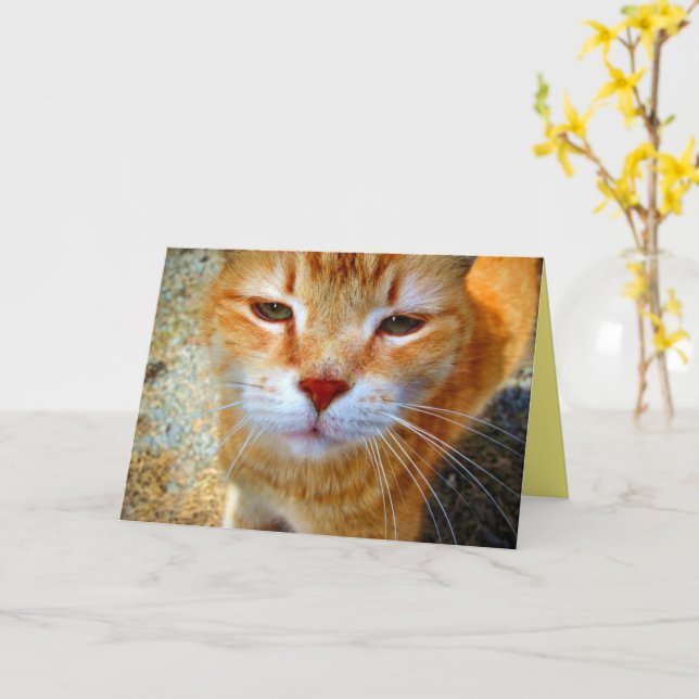 Tarjeta Ginger Kitty Friendty Little Cat (flor amarilla)