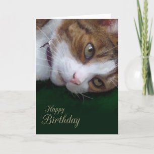 Tarjeta Ginger Tabby Cat Personalizable Feliz Cumpleaños