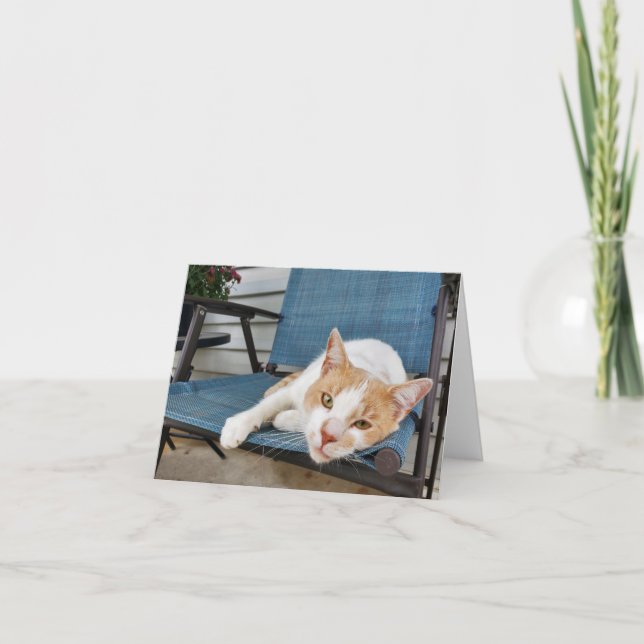 Tarjeta Ginger y el gato tabby blanco (Anverso)