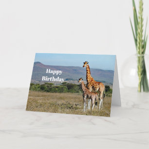 Tarjeta Girafa de la vida salvaje madre y foto del bebé cu