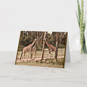 Tarjeta Girafas