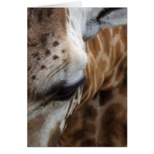 Tarjeta Giraffe